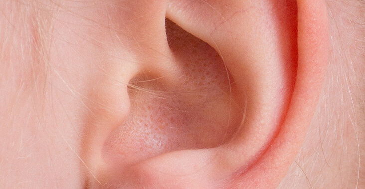 Human ear