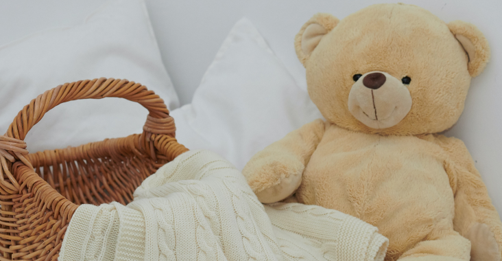 Teddy bear, basket and blanket